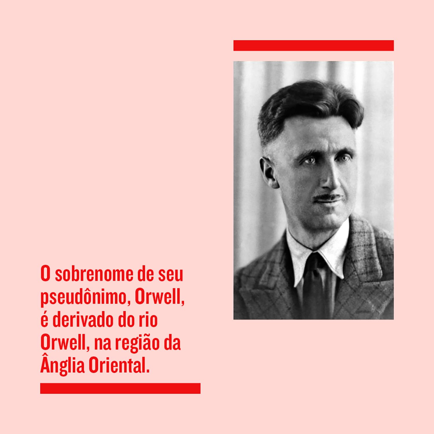 A revolução dos bichos: Um conto de fadas - Imagem 3
