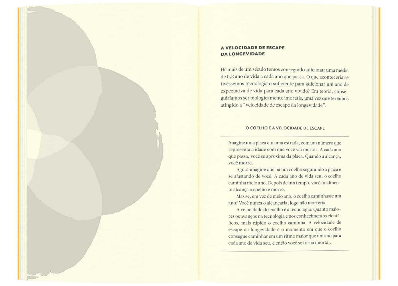 Ikigai - Nova edição: O segredo japonês para uma vida longa e feliz - Imagem 5