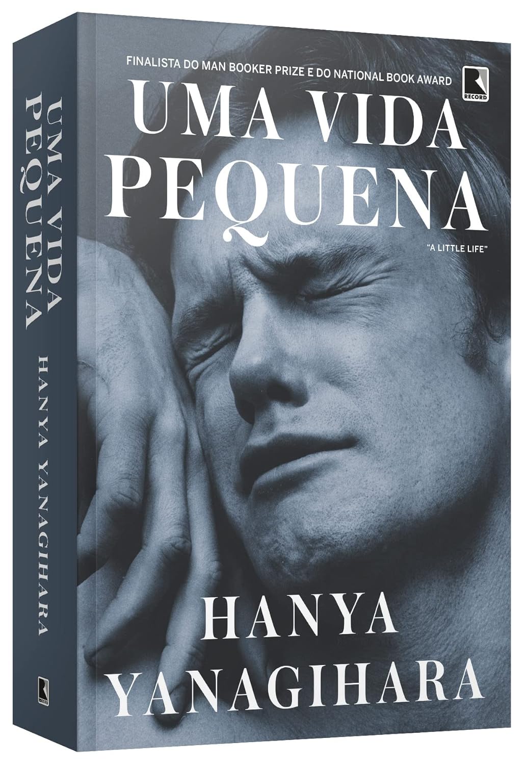 Uma vida pequena - Imagem 3