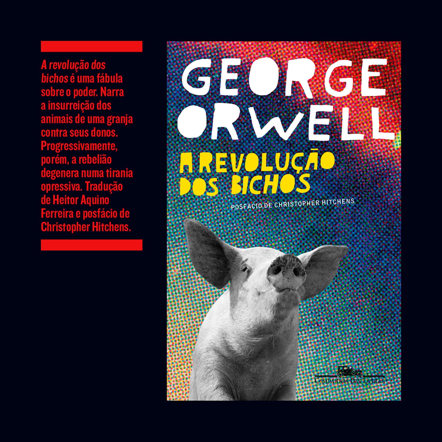 A revolução dos bichos: Um conto de fadas - Imagem 5
