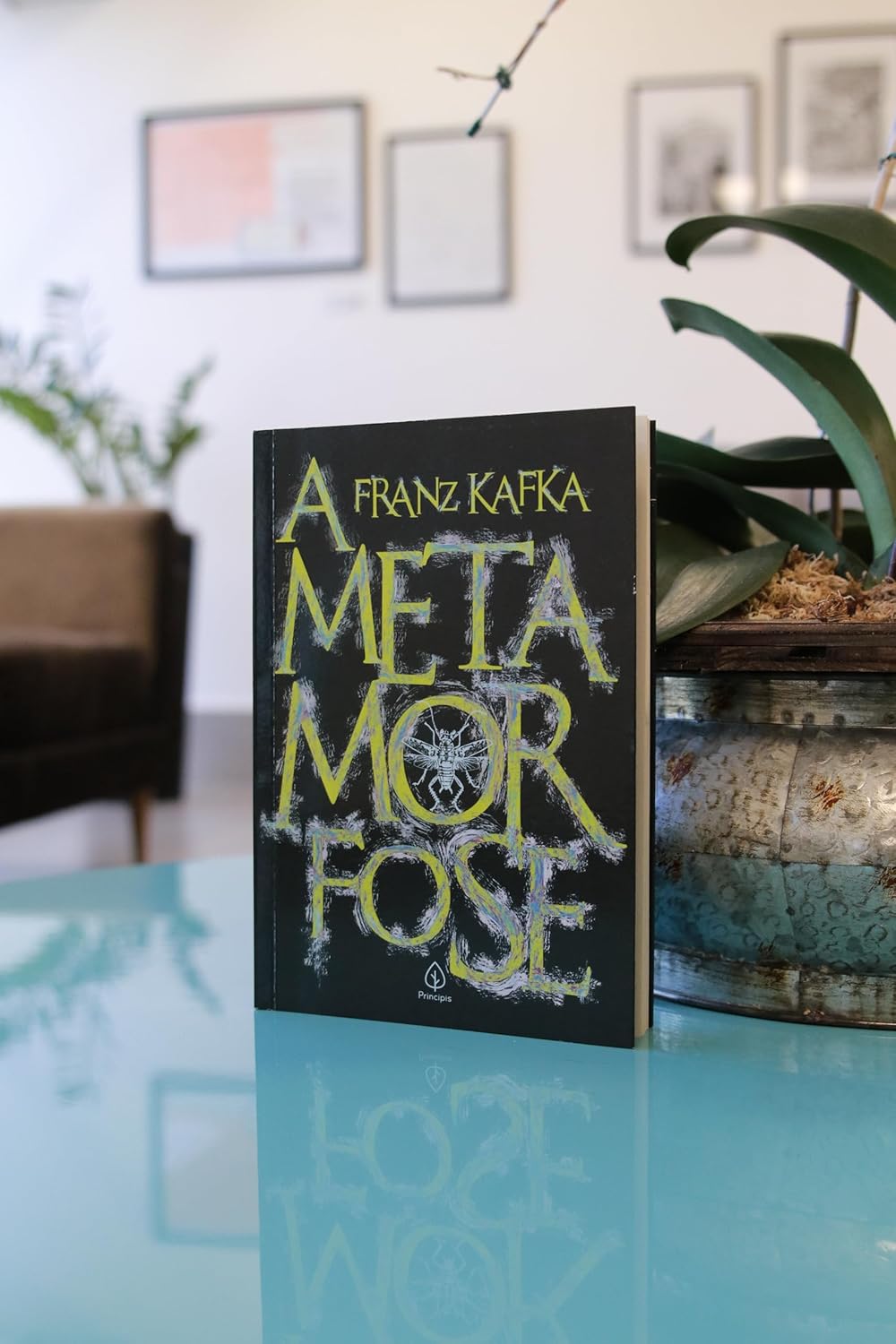 A metamorfose: DIE VERWANDLUNG - Imagem 4